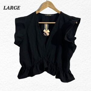 NWT Deep V Neck Black Crop Top Large